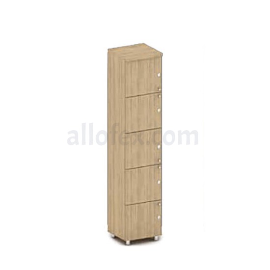 Cabinet Lock 190*75cm 5 Shelves